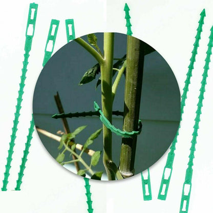 Ambassador Adjustable Plant Ties 12.5cm Pack 50's