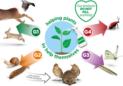 Grazers G2 Slug and Snail Deterrent | Highly concentrated | Eco Friendly 350ml