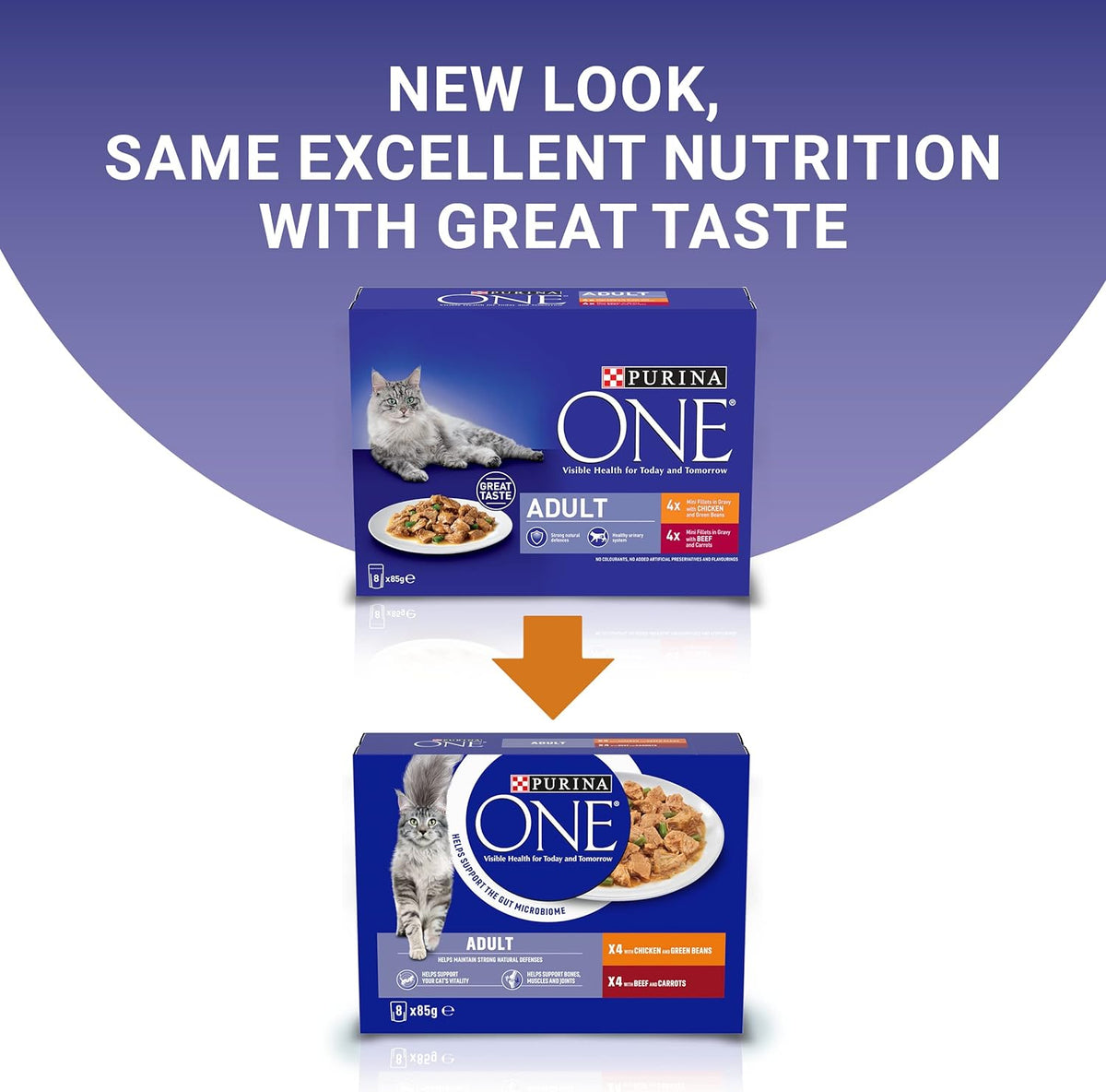 Purina ONE Adult Cat Food Pouches Mini Fillets in Gravy Chicken & Beef 8 x 85g