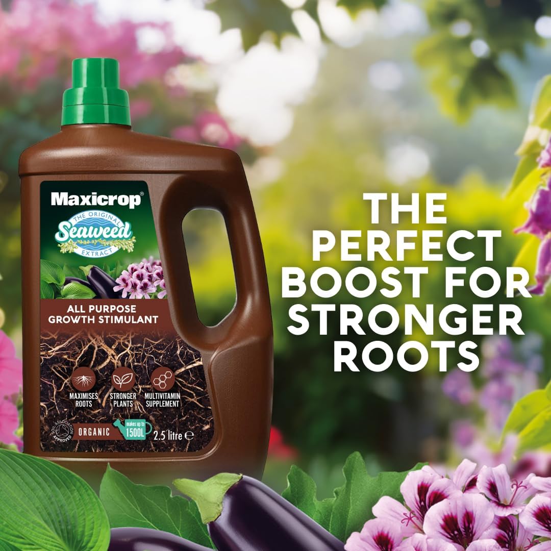 Maxicrop Original Seaweed Extract Organic Plant Growth Stimulant 2.5L