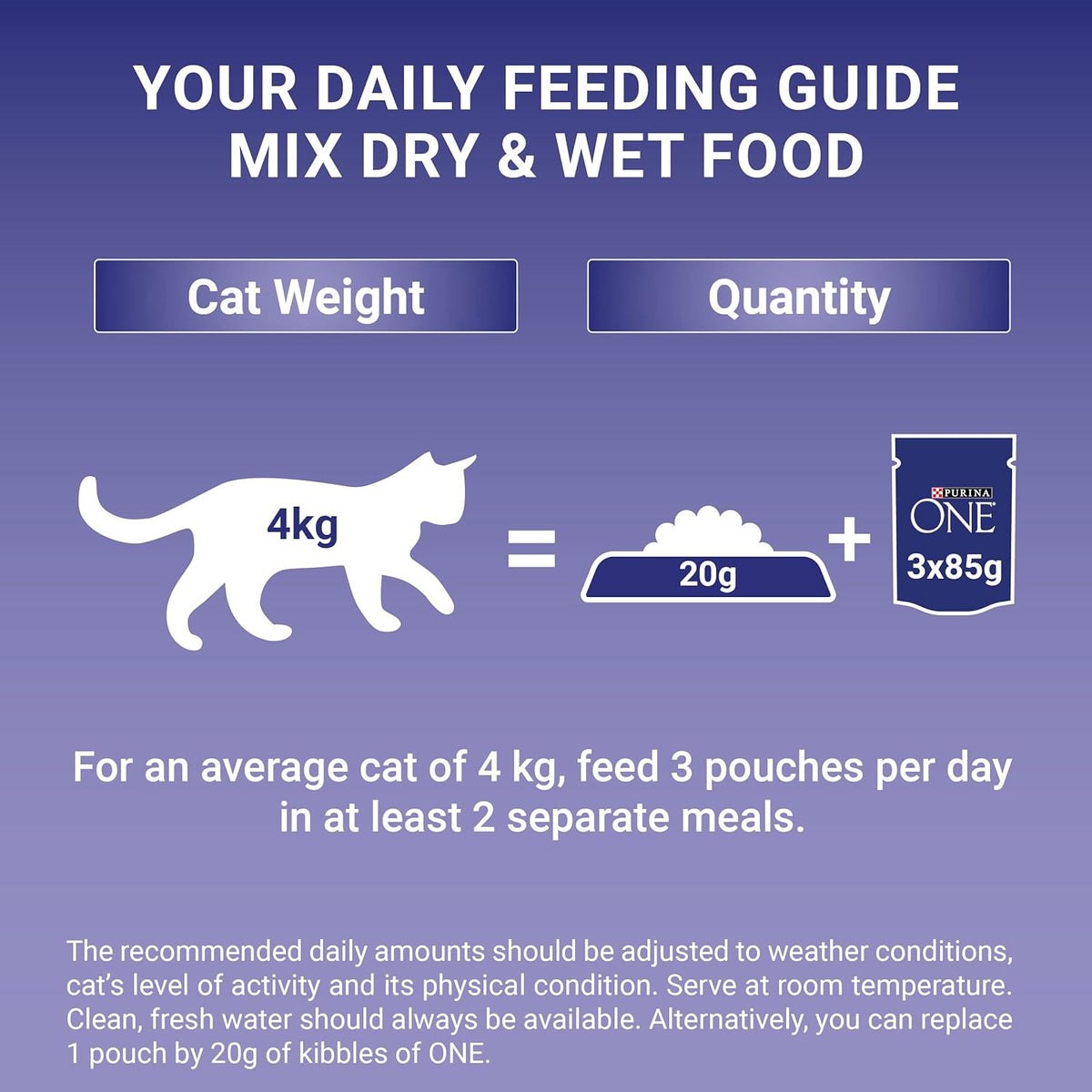 Purina ONE Adult Cat Food Pouches Mini Fillets in Gravy Chicken & Beef 8 x 85g