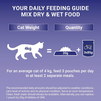Purina ONE Adult Cat Food Pouches Mini Fillets in Gravy Chicken & Beef 8 x 85g