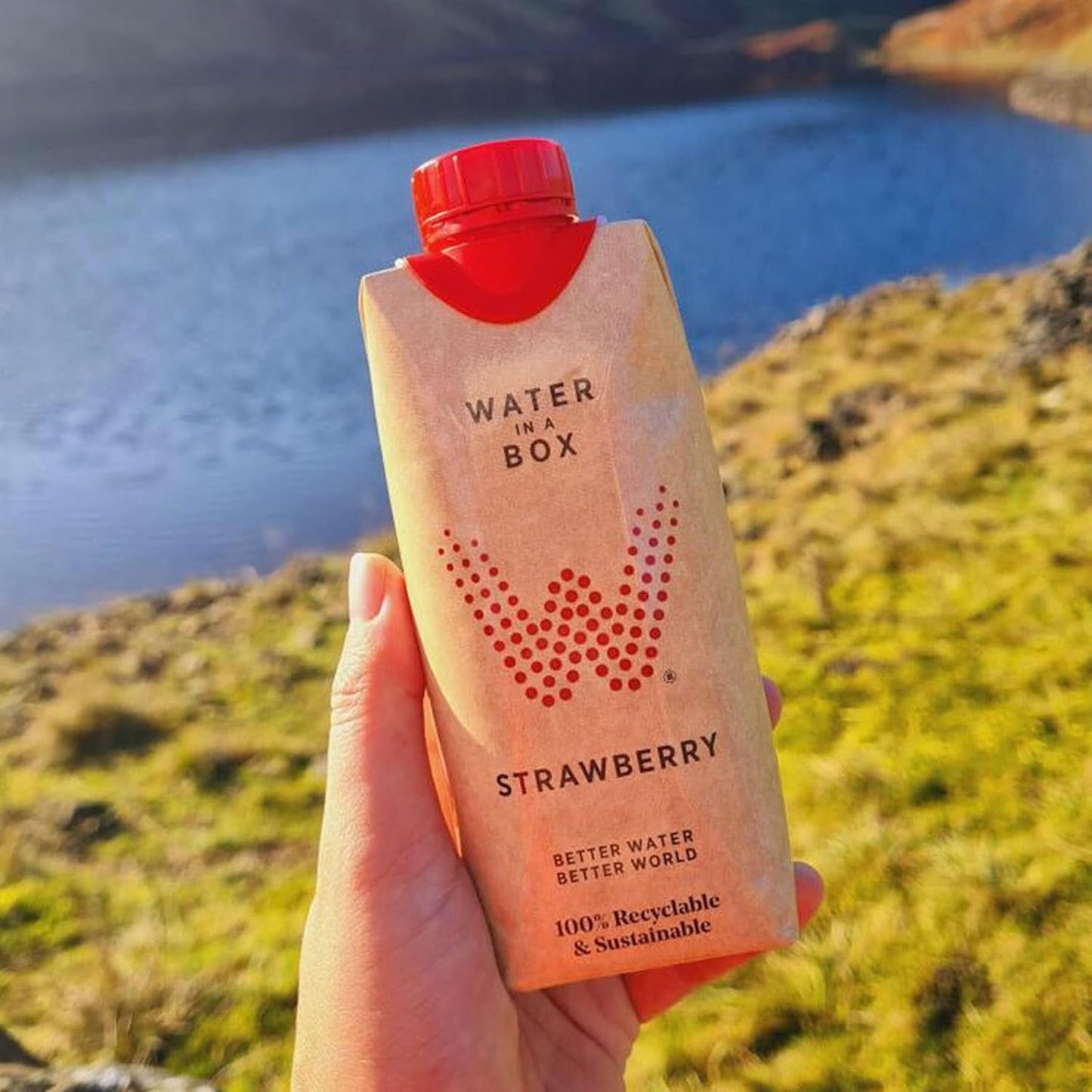 Vivid Water in a Box Strawberry Water 12 x 500ml