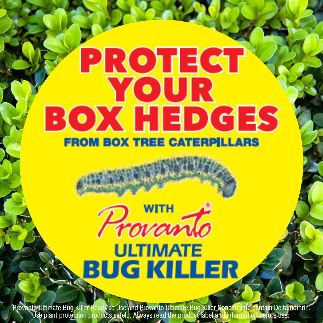 Provanto Ultimate Fast Acting Bug Spray 1 Litre Spray