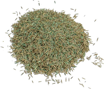 Westland Gro-Sure Fast Acting Grass Lawn Seed 80m2 2.4kg