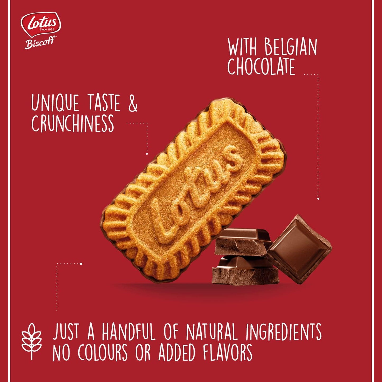 Lotus Biscoff Individually Wrapped Caramelised Biscuits with Belgian Chocolate Triple Pack (72 Packs