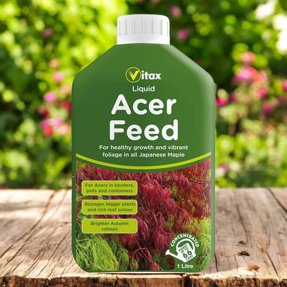 Vitax Liquid Acer Tree Feed | Promotes Healthy Leaf & Root Growth | 1 Litre Concentrated