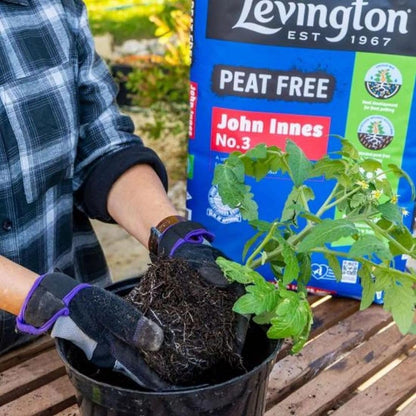 Levington Peat Free John Innes No3 Compost - 10L
