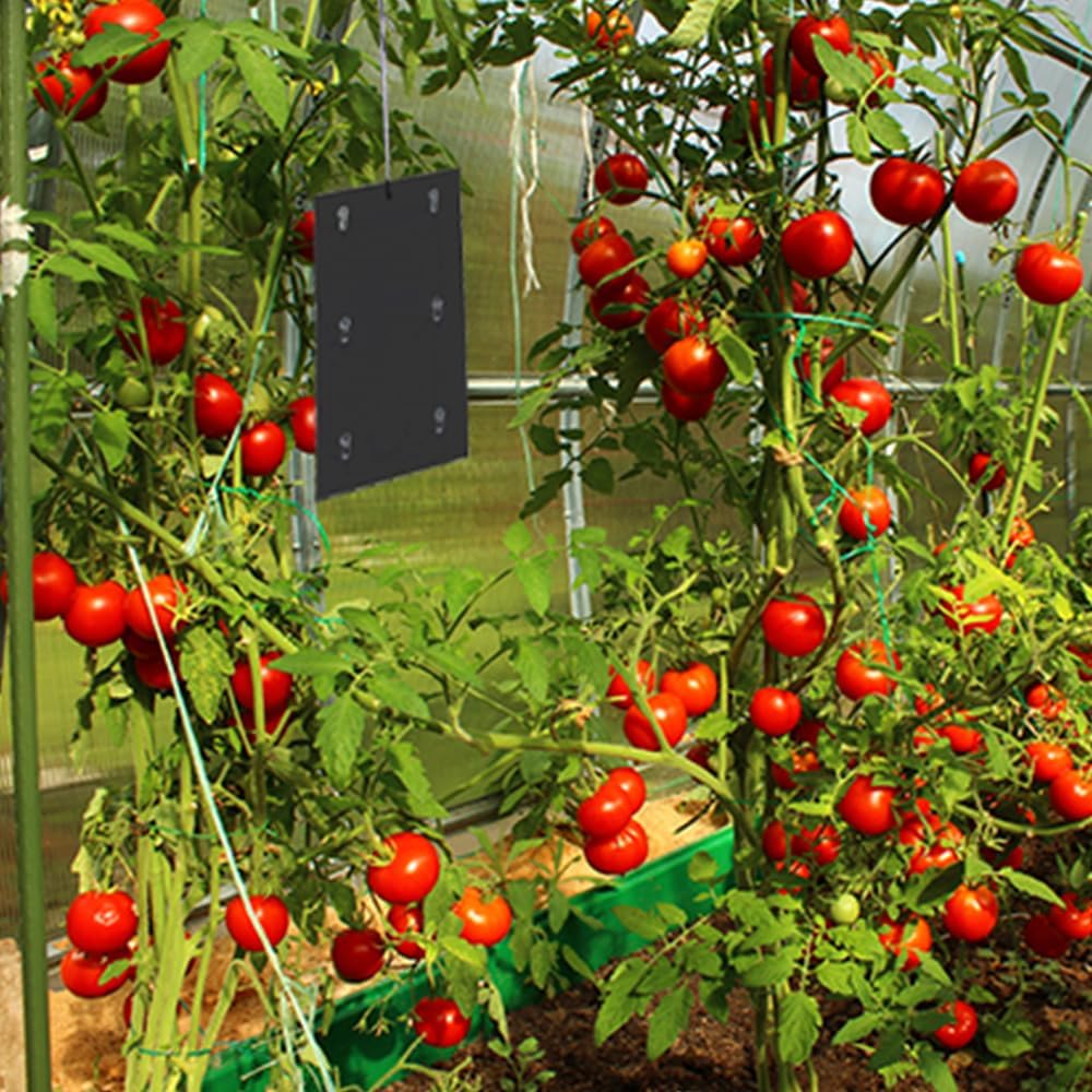 Defenders Tomato Leaf Miner Pheromone Trap - Twinpack