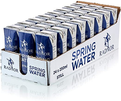 Radnor Hills Spring Still Water 24 x 250ml - UK BUSINESS SUPPLIES
