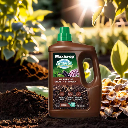 Maxicrop Original Seaweed Extract Organic Plant Growth Stimulant 2.5L