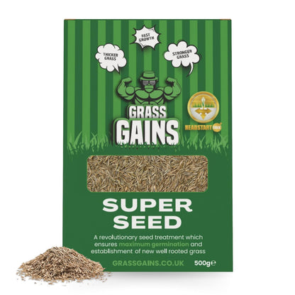 Lawn Seed 500g | Premium Grass Seeds Fast Growing for Patch Magic Lawn Repair | 1 x 500g