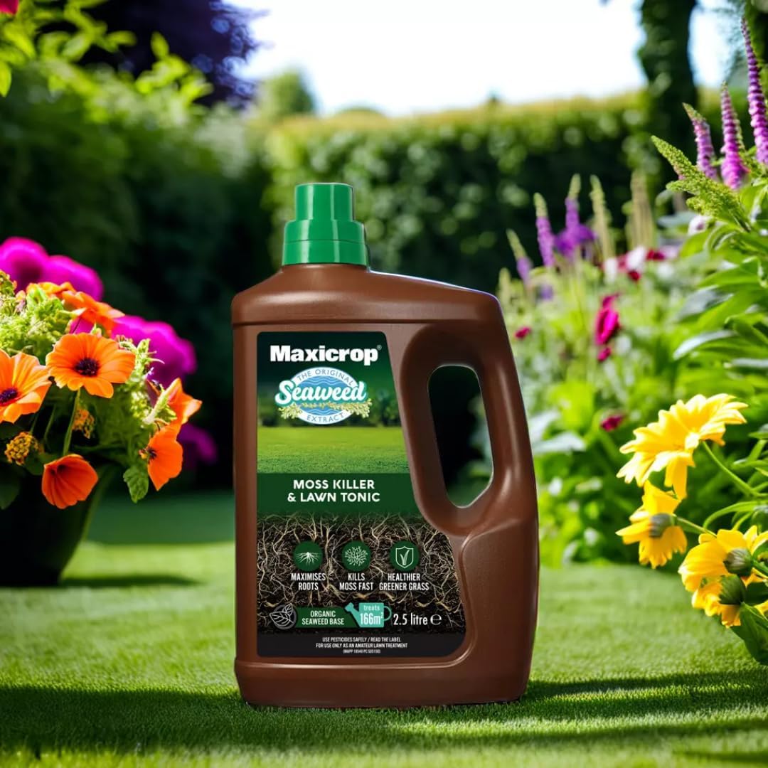 Maxicrop 2-in-1 Moss Killer & Lawn Tonic | 1 x 2.5L