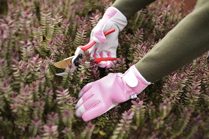 Spear & Jackson Kew Pink Gardening Gloves Small