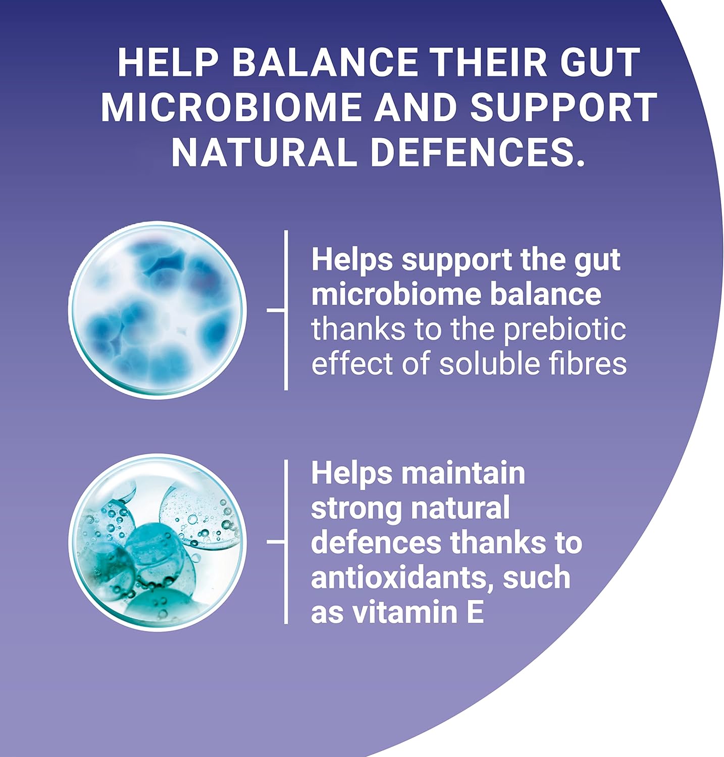 Purina ONE Adult Cat Food Pouches Mini Fillets in Gravy Chicken & Beef 8 x 85g