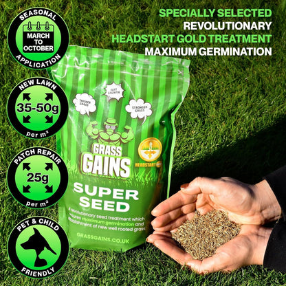 Lawn Seed 500g | Premium Grass Seeds Fast Growing for Patch Magic Lawn Repair | 1 x 500g