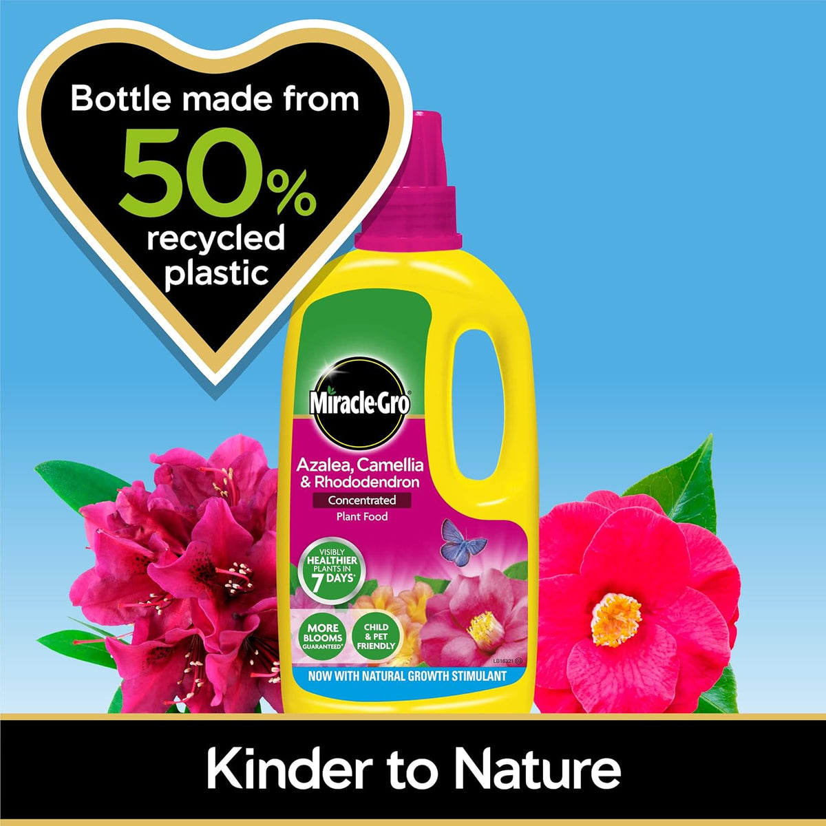 Miracle-Gro Azalea, Camellia & Rhododendron Concentrated Liquid Plant Food, 1 Litre
