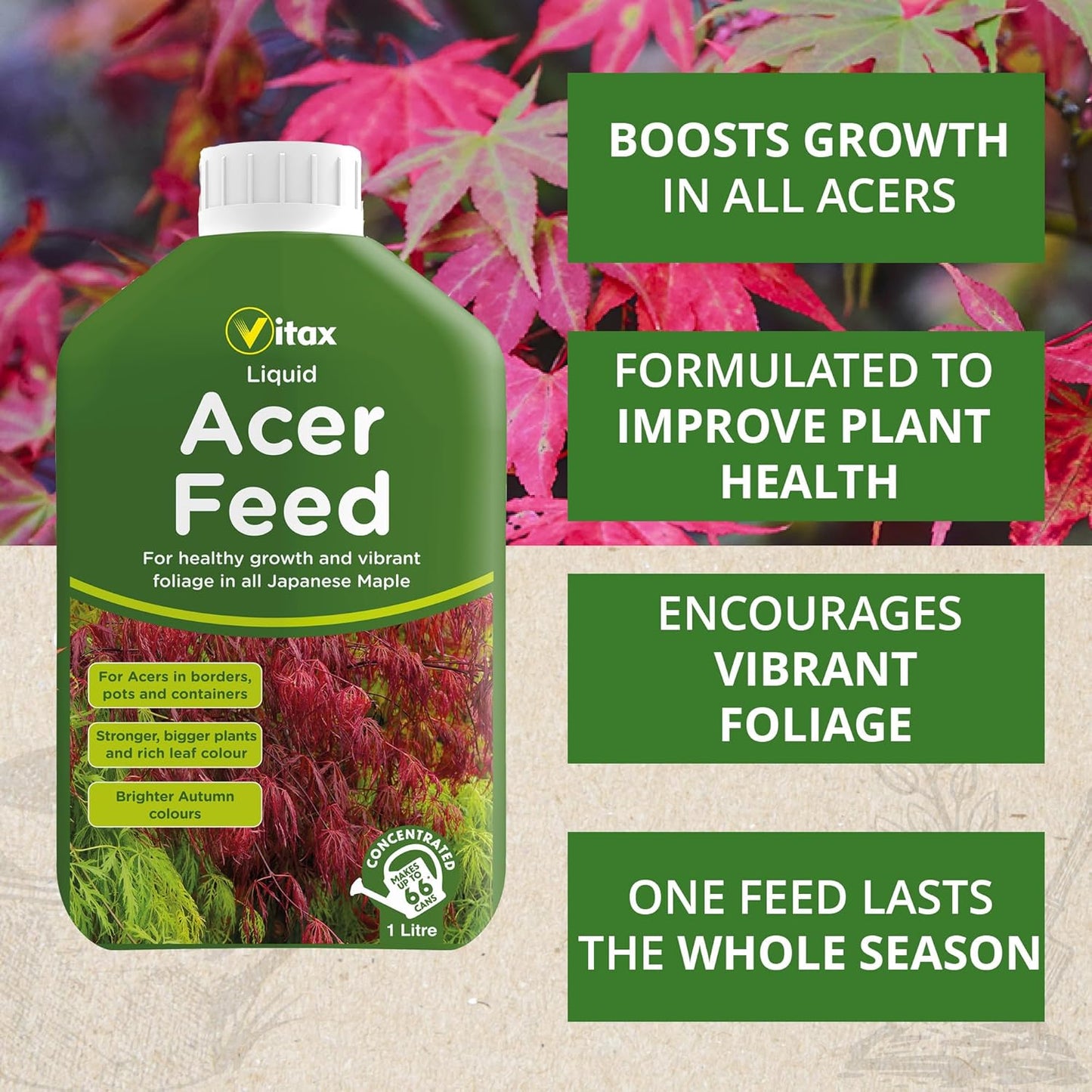 Vitax Liquid Acer Tree Feed | Promotes Healthy Leaf & Root Growth | 1 Litre Concentrated
