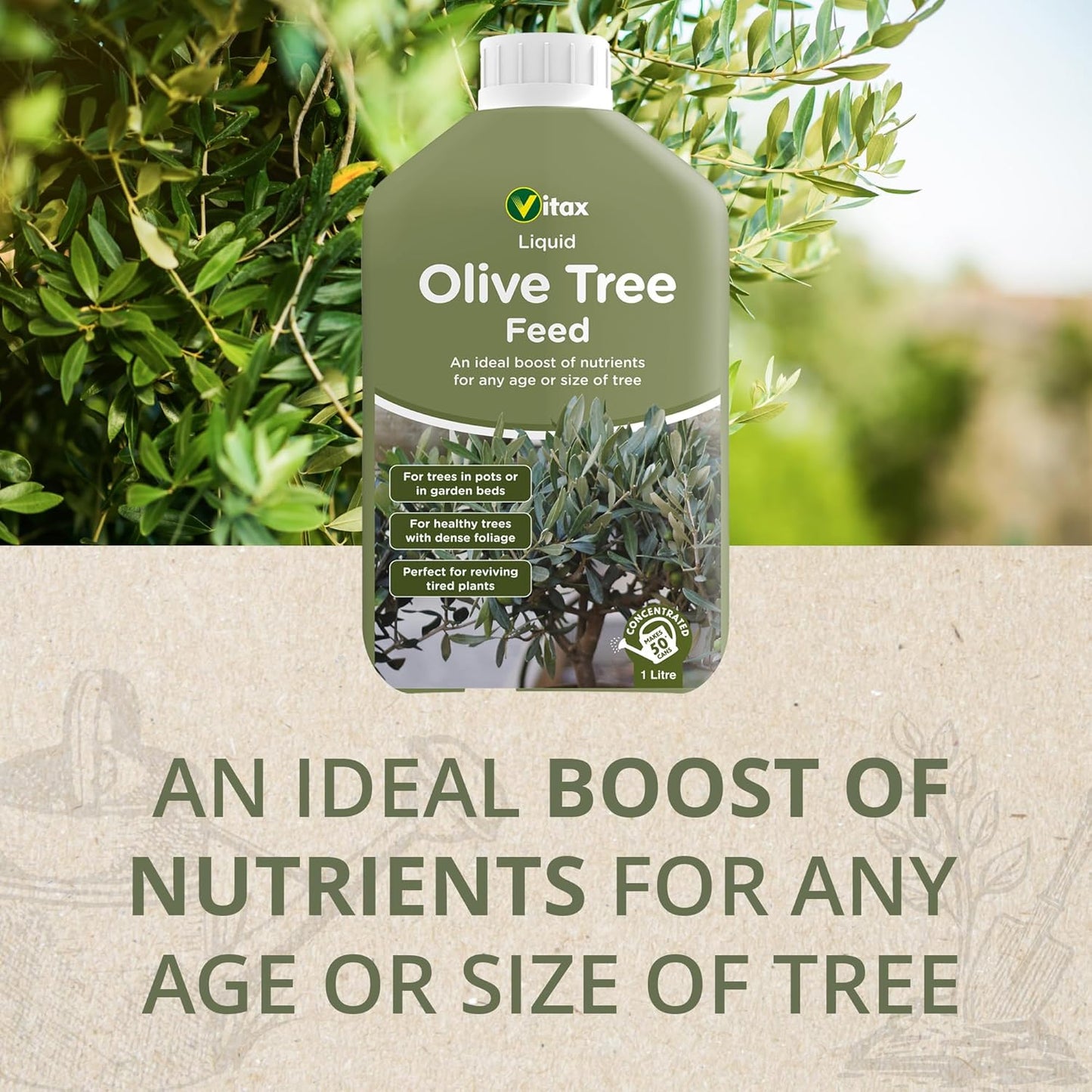 Vitax Olive Tree | Liquid Feed | Highly Concentrated | 1 Litre (Makes 250 Litres)