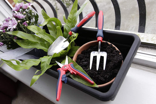 Spear & Jackson IPC3PS Indoor Plant Care 3 Piece Tools Set Garden, Red and Blue, 40.0 mm*230.0 mm*18