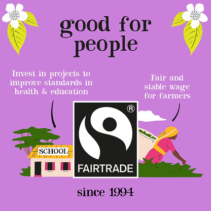 Clipper Fairtrade Everyday Tea Bags 440