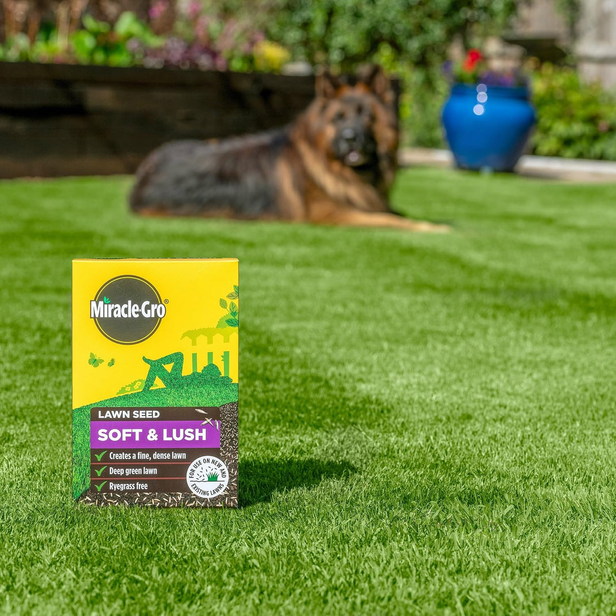 Miracle-Gro Soft & Lush Lawn Seed | Coverage 28m2 / 840g Box.