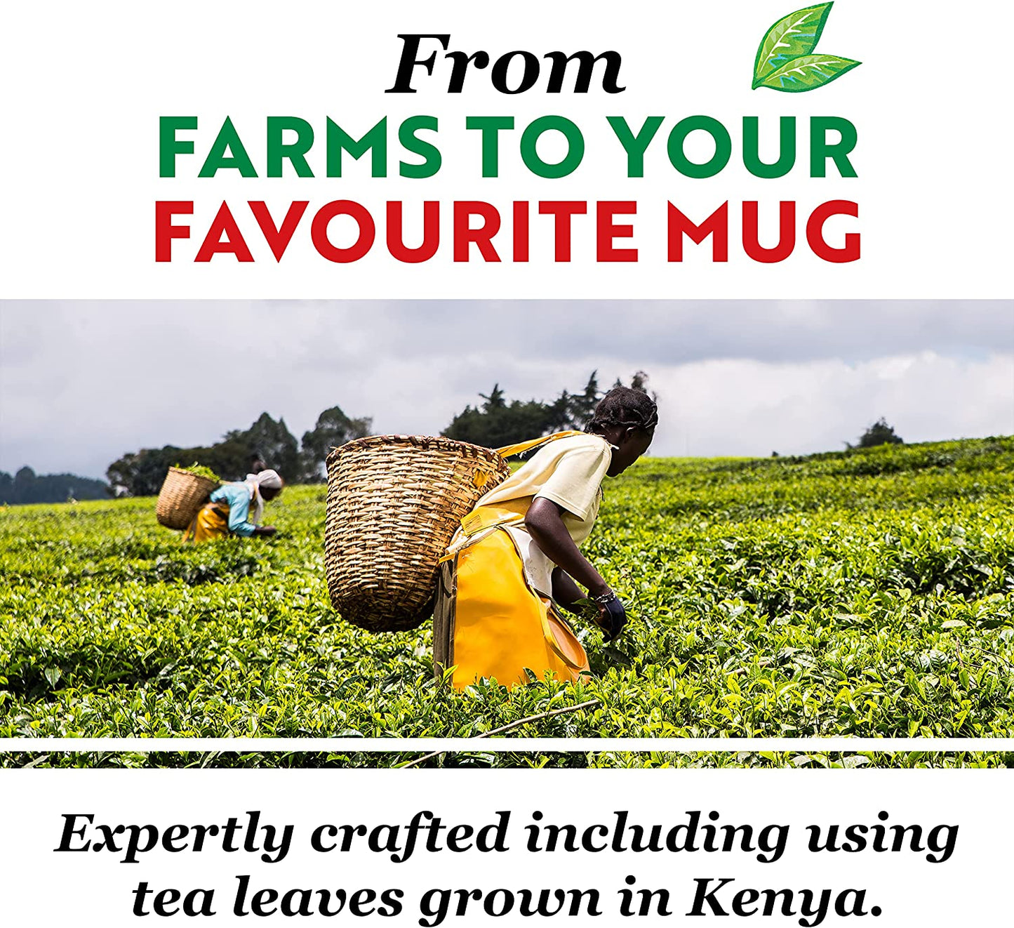 PG Tips Square Catering Tea Bag (Pack of 450)