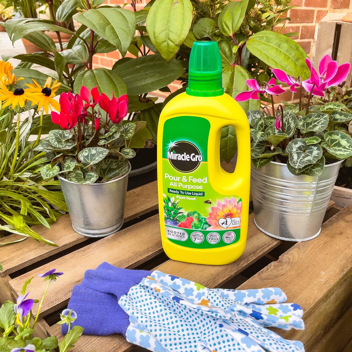 Miracle-Gro Pour And Feed Liquid Plant Food | Ready to Use | 1 Litre
