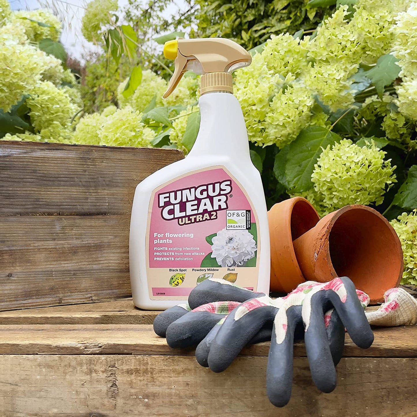 EverGreen NEW FungusClear Ultra2 Spray – 800ml