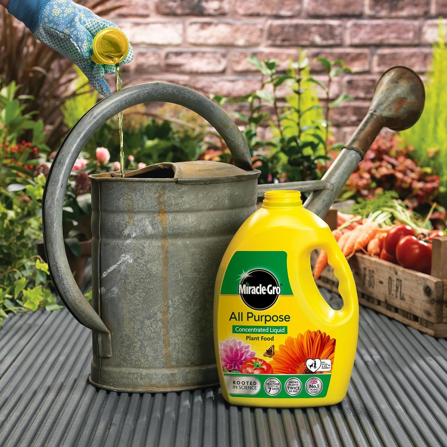 Miracle Gro Concentrated All Purpose Liquid Plant Food - 2.5L