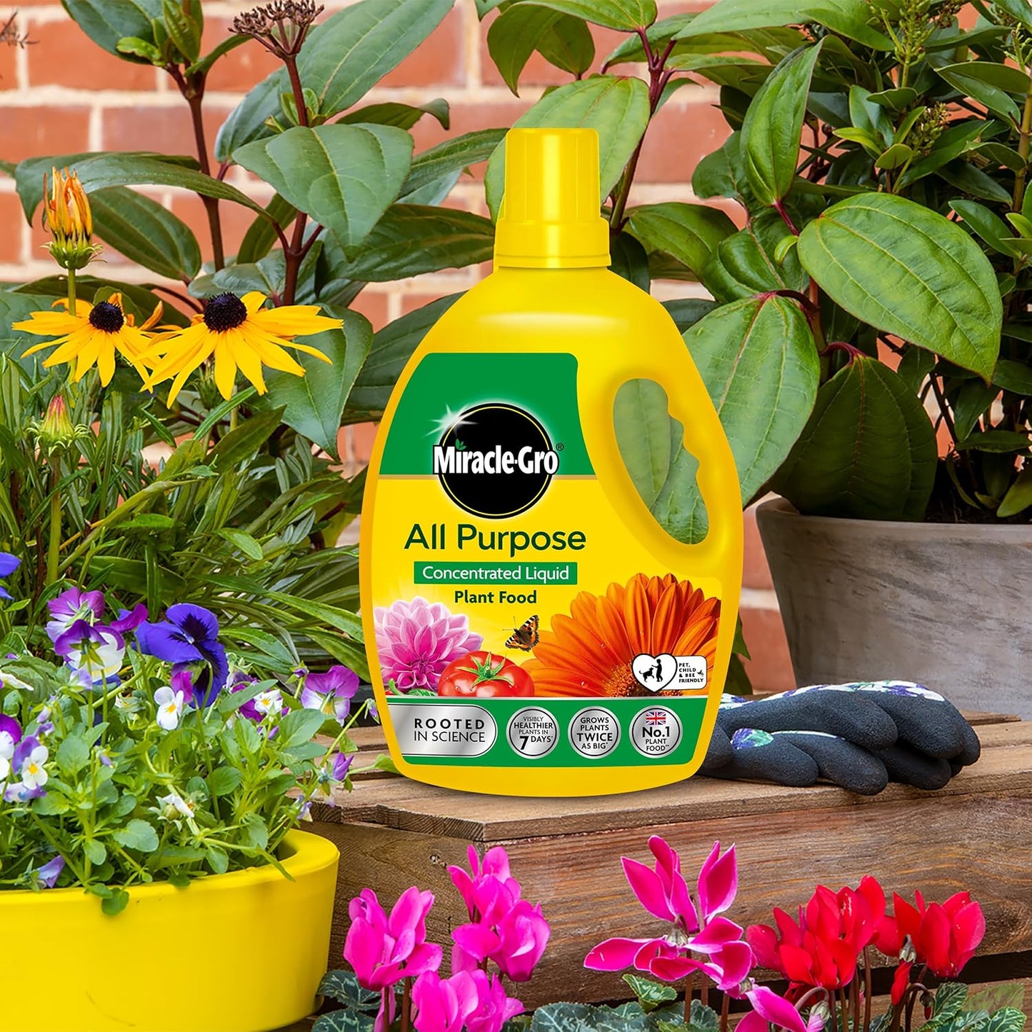Miracle Gro Concentrated All Purpose Liquid Plant Food - 2.5L