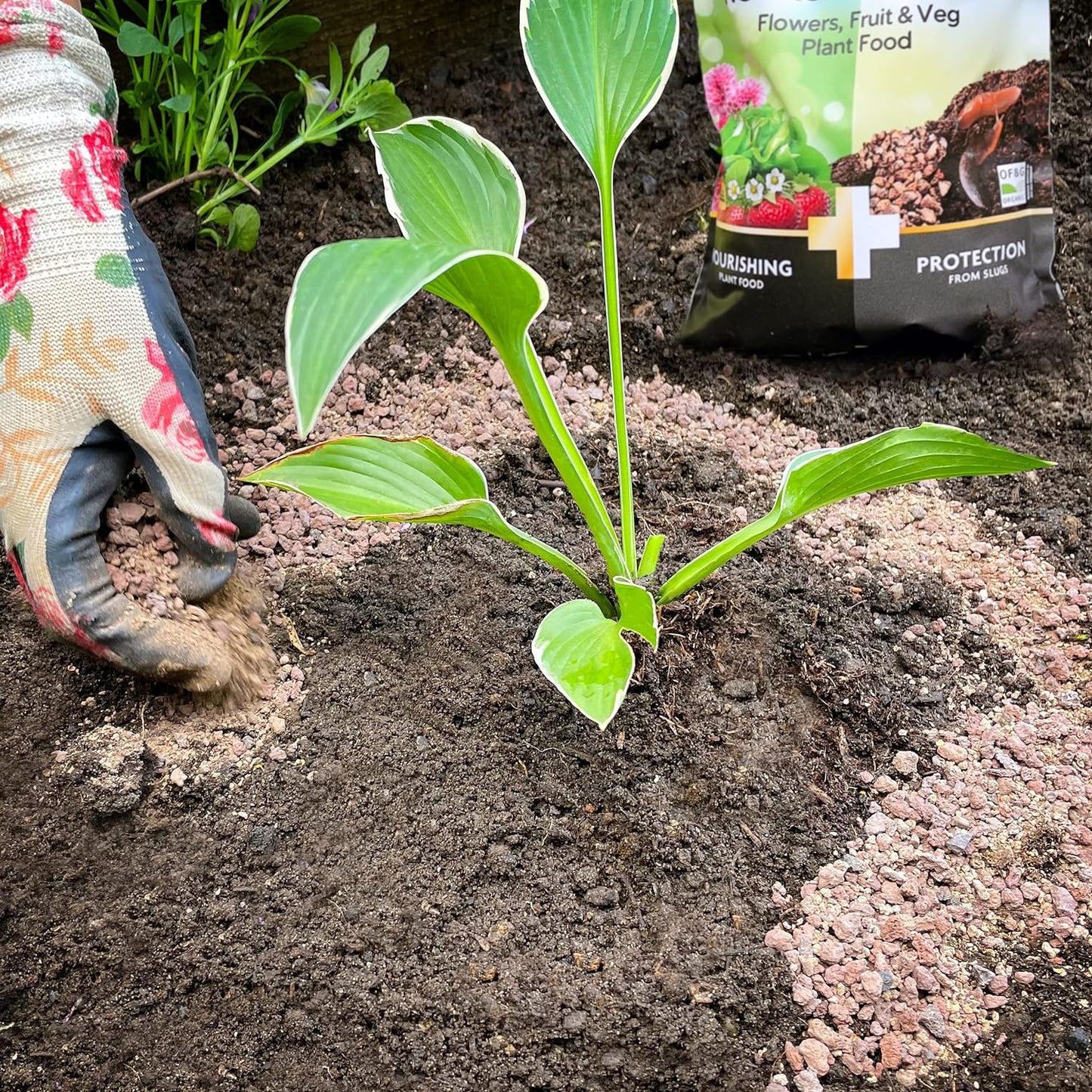 Miracle Gro 2in1 Nourish & Protect Slug 1kg