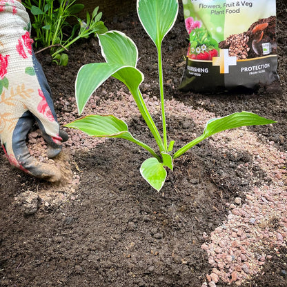 Miracle Gro 2in1 Nourish & Protect Slug 1kg