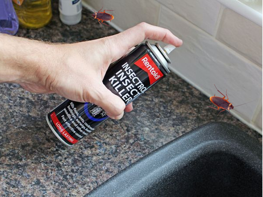 Rentokil All Purpose Professional Insectrol Insect Killer 250ml Fleas, Ants, Cockroaches, Bedbugs et