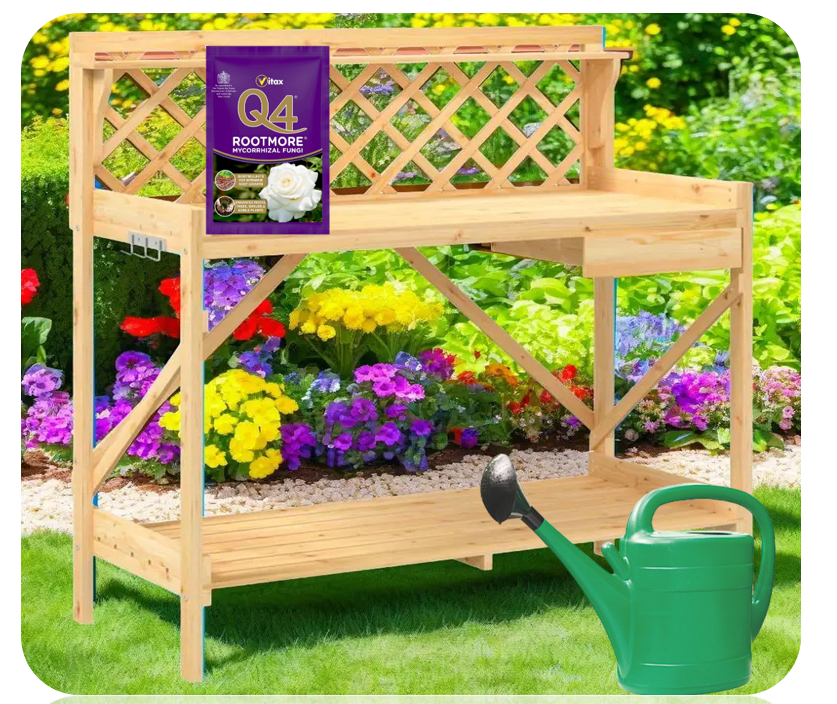Vitax Q4 Rootmore Fertiliser Plant Food Feed Fruit Veg Flowers Roses Lawn 60g
