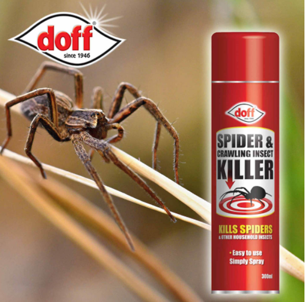 Doff Spider & Crawling Insect Killer 300ml