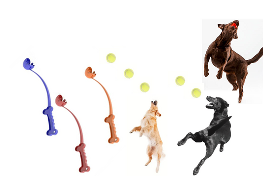 Ecopet Ball Launcher Assorted Colours