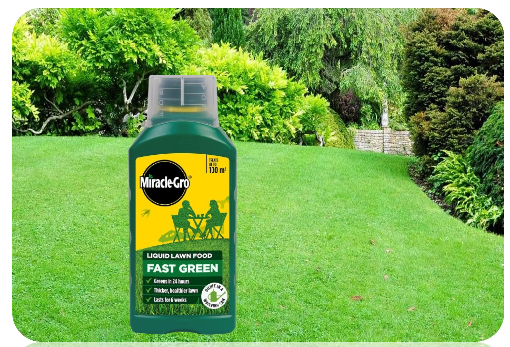 Miracle-Gro Fast Green | Concentrated Formula | 1 Litre | Treats upto 100m2