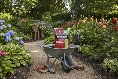 Levington Peat Free Multi Purpose Compost | Child & Pet Friendly | 20 Litre.