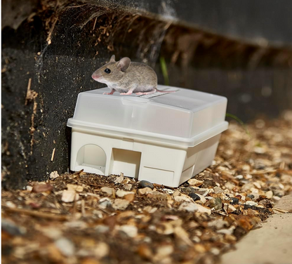 The Big Cheese Ultra Power Ready-Baited Mouse Trap Kit, White