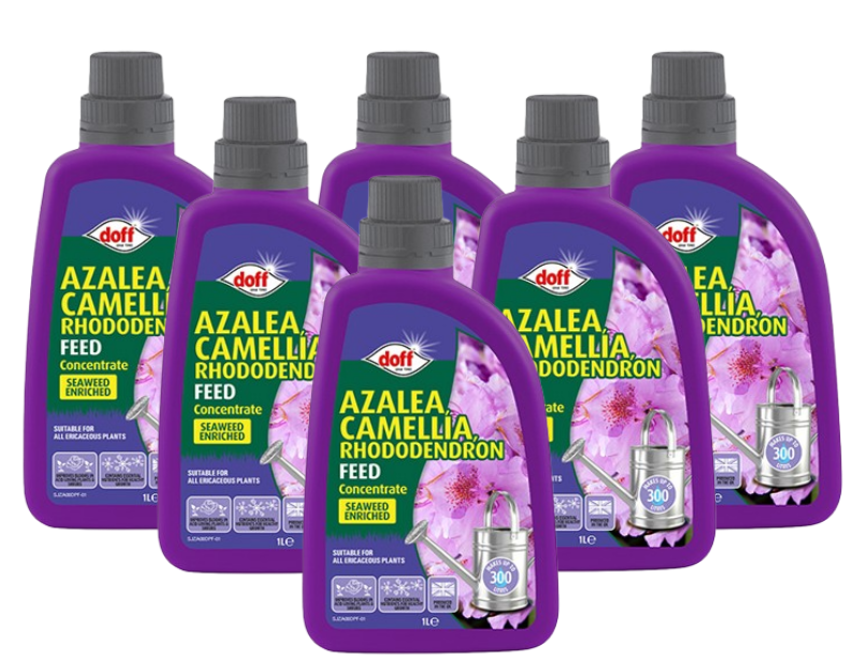 Doff Azalia, Camellia, Rhododendron Concentrated Liquid Feed 1L