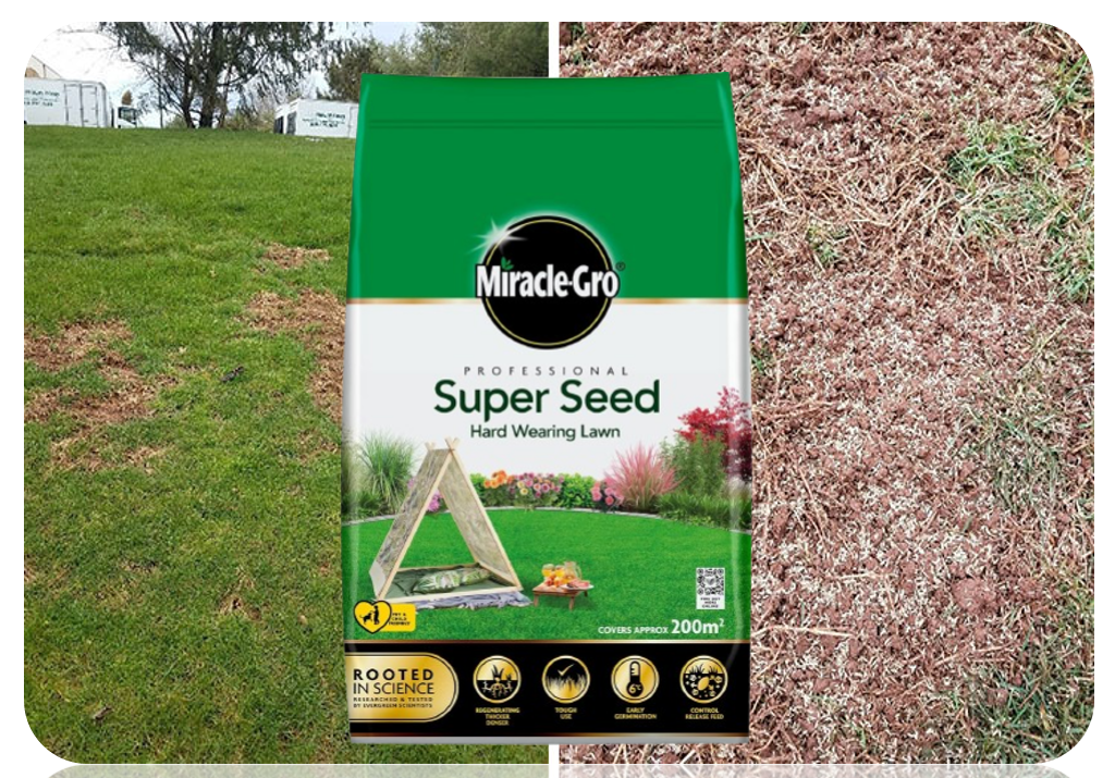 Miracle-Gro 121071 Professional Super Seed Hard Wearing Lawn Seed 200M2, 6Kg Bag