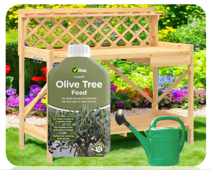 Vitax Olive Tree | Liquid Feed | Highly Concentrated | 1 Litre (Makes 250 Litres)