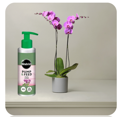 Miracle-Gro Pump & Feed ORCHID Liquid Plant Food 200ml