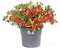 Elho Cilindro X/Large Wheeled Flower Pot 58cm ANTHRACITE