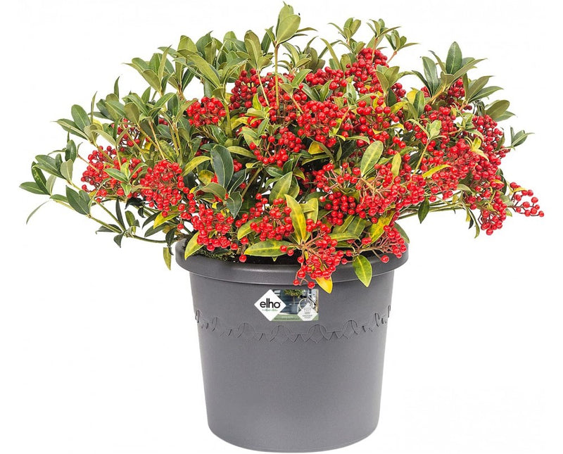 Elho Cilindro X/Large Wheeled Flower Pot 58cm ANTHRACITE