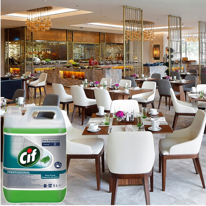 Cif Professional Pine Fresh All-Purpose Cleaner Concentrate 5 Litre