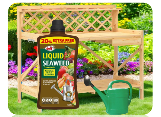 Doff Liquid Seaweed Concentrate 1.2L Extra Fill