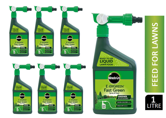 Miracle-Gro Evergreen Fast Green Spray & Feed 1 Litre - UK BUSINESS SUPPLIES