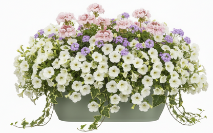 Elho Vibia Campana Easy Hanger Large PISTACHIO GREEN